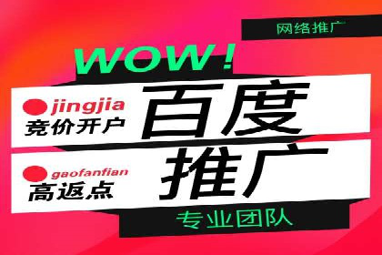 竞价广告赚钱之道：百度案例解析